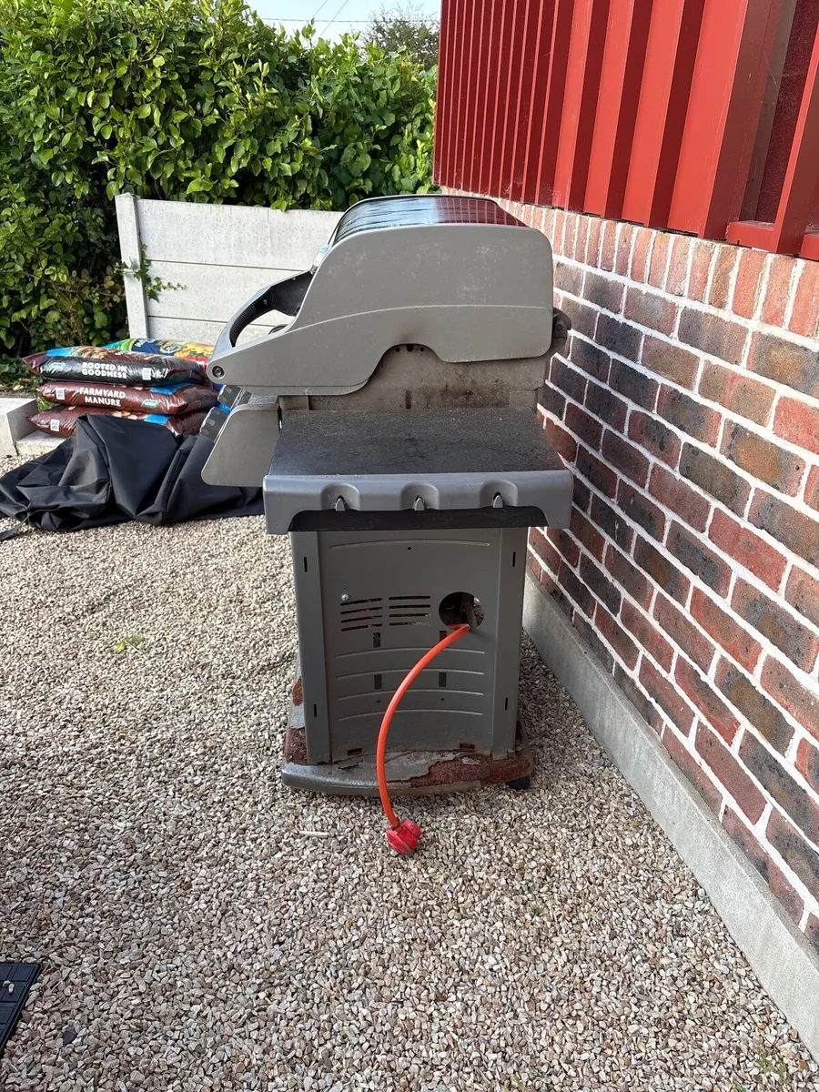 Weber Barbecue - Image 4