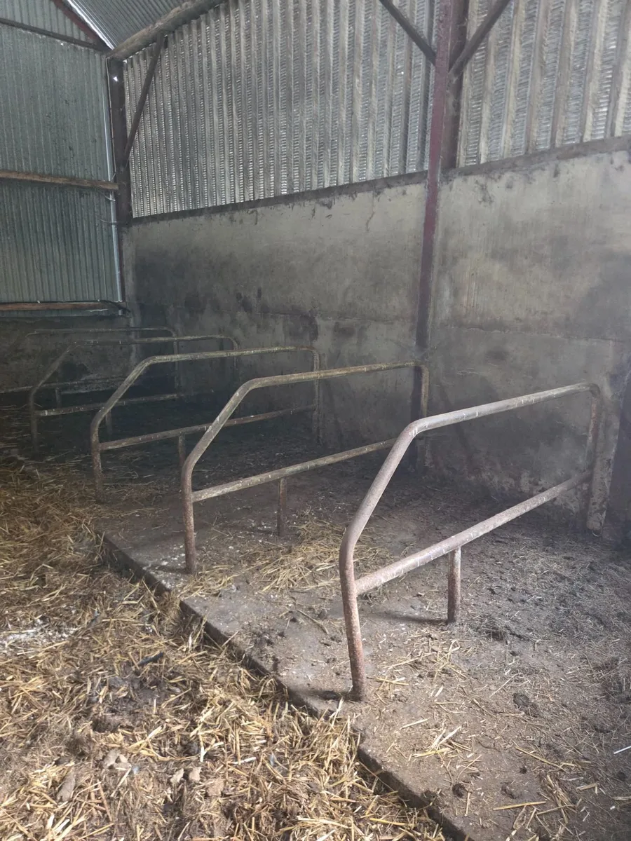 Cow cubicles - Image 1