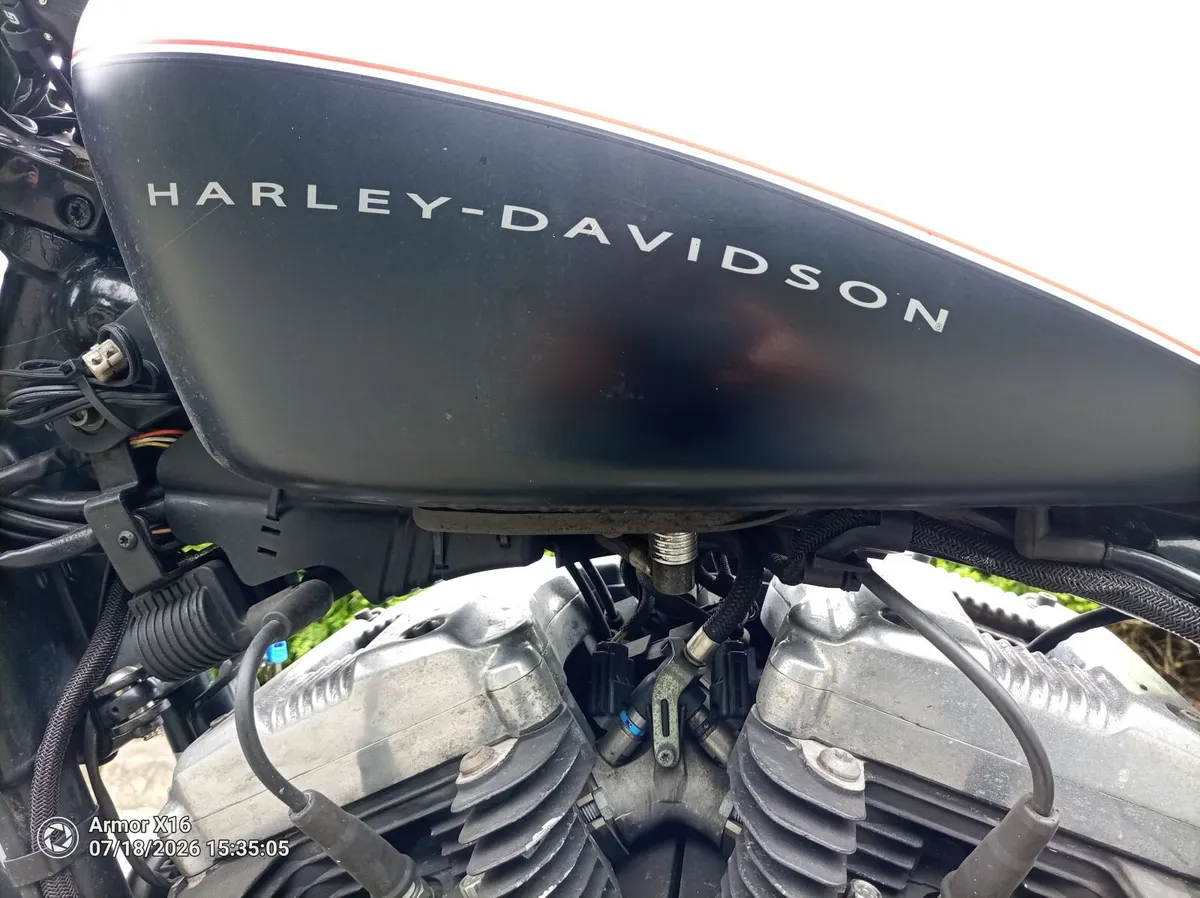 HARLEY DAVIDSON XL1200N 2009 Nightster. - Image 3