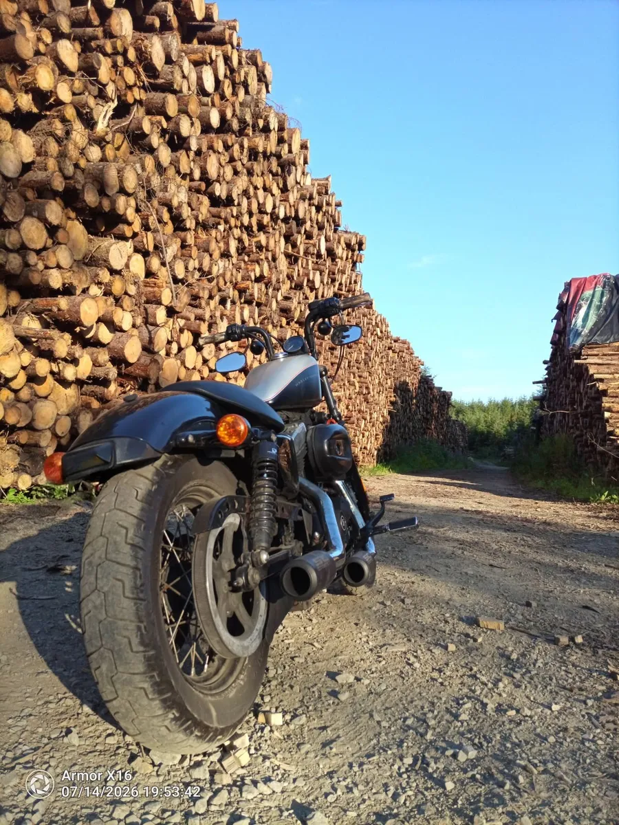 HARLEY DAVIDSON XL1200N 2009 Nightster. - Image 1
