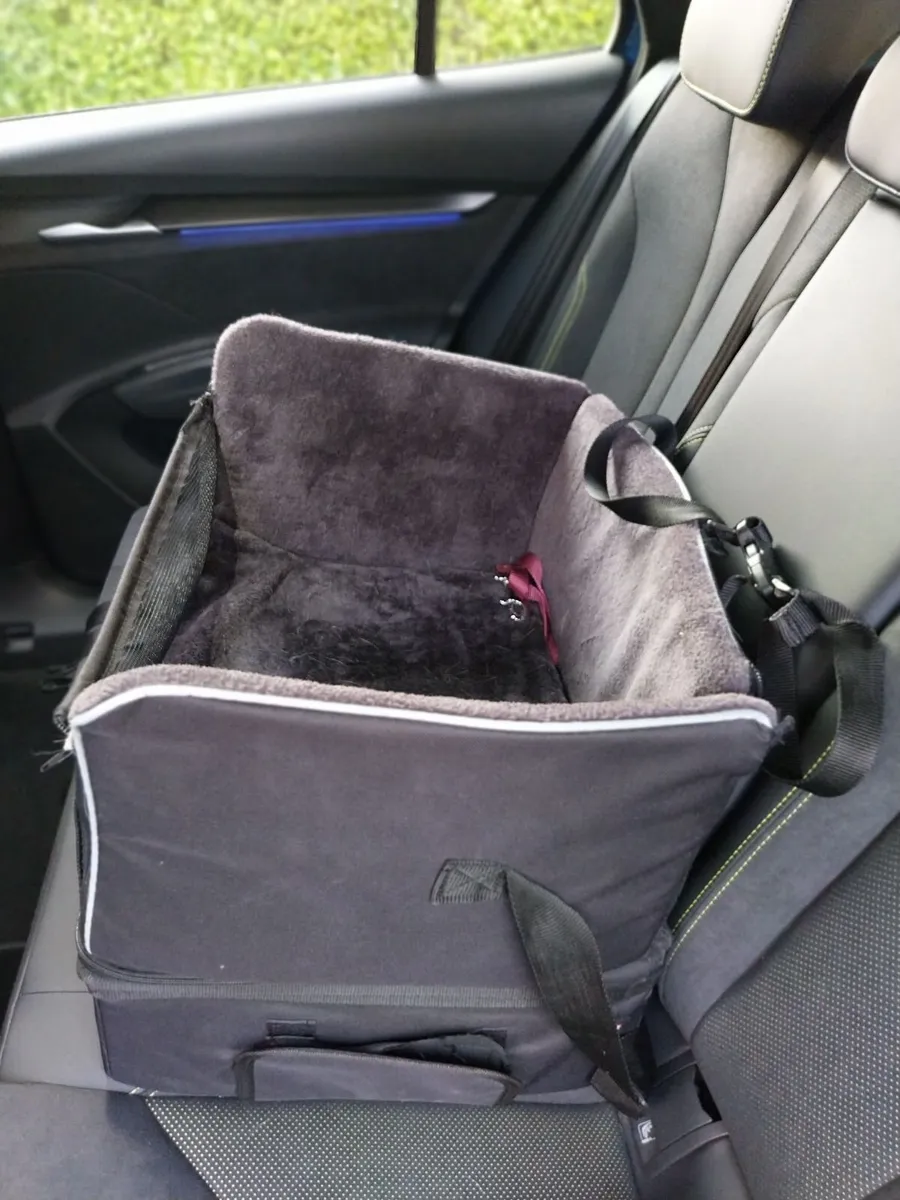 Dog seat - Image 2