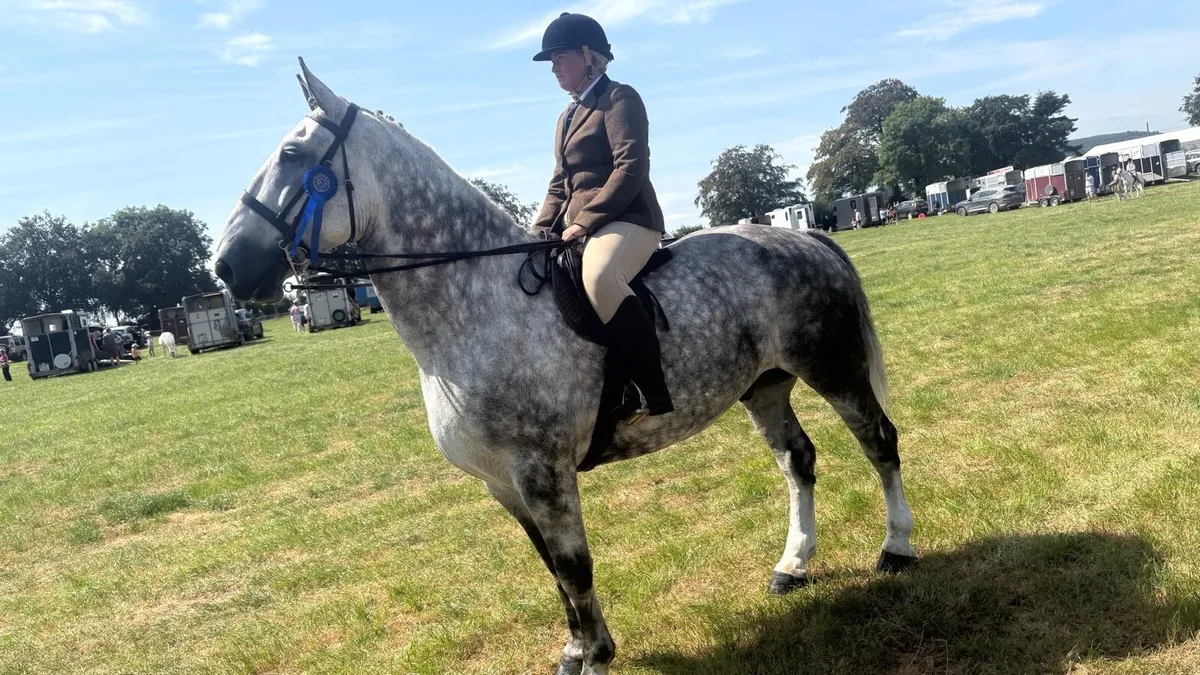 Hunter - Image 1