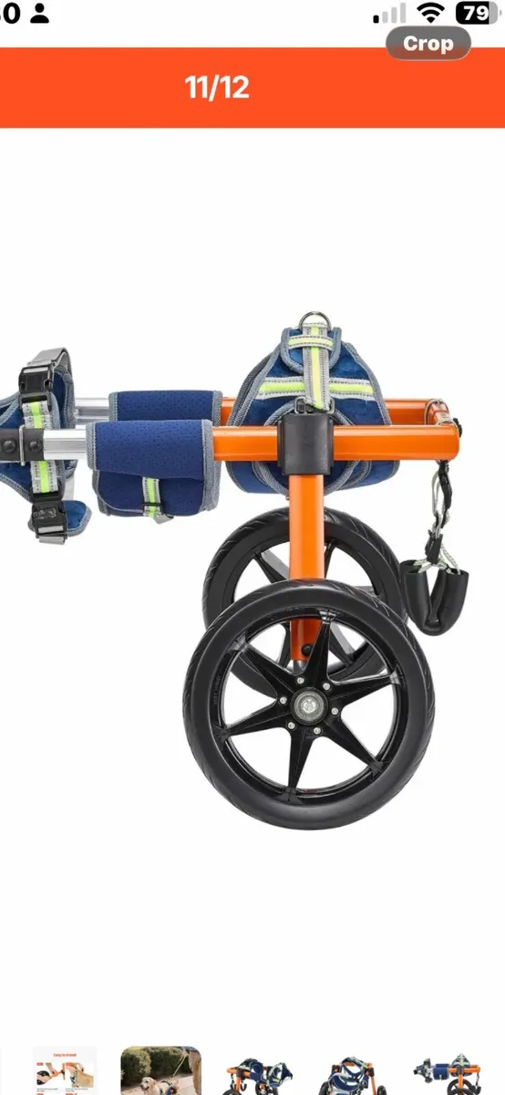 Dog disability wheel chair - Image 2