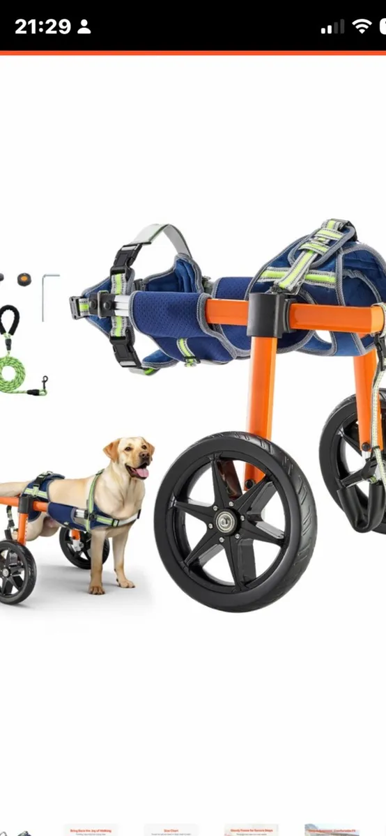 Dog disability wheel chair - Image 3