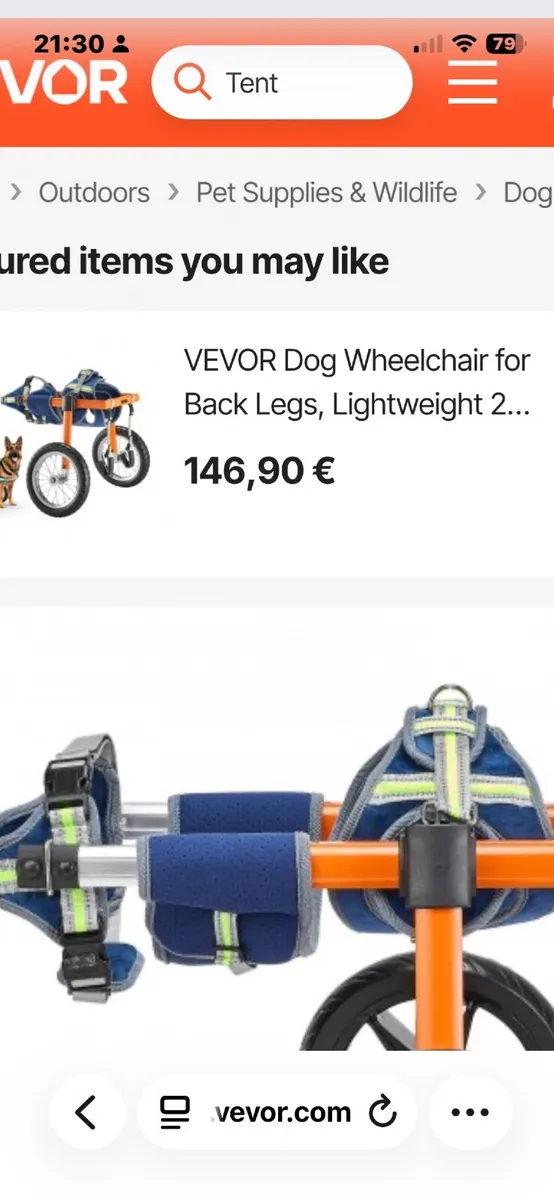 Dog disability wheel chair - Image 1