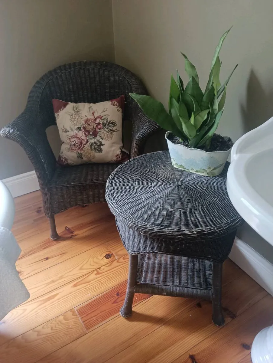 Beautiful ratten chair and table 80 - Image 1
