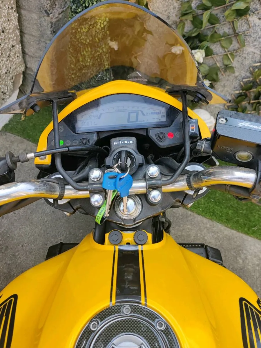 2011 Honda Hornet - Image 3