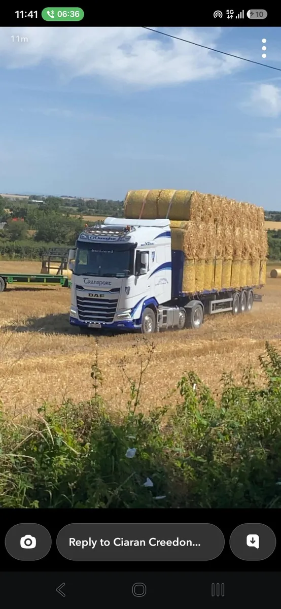 Straw - Image 1