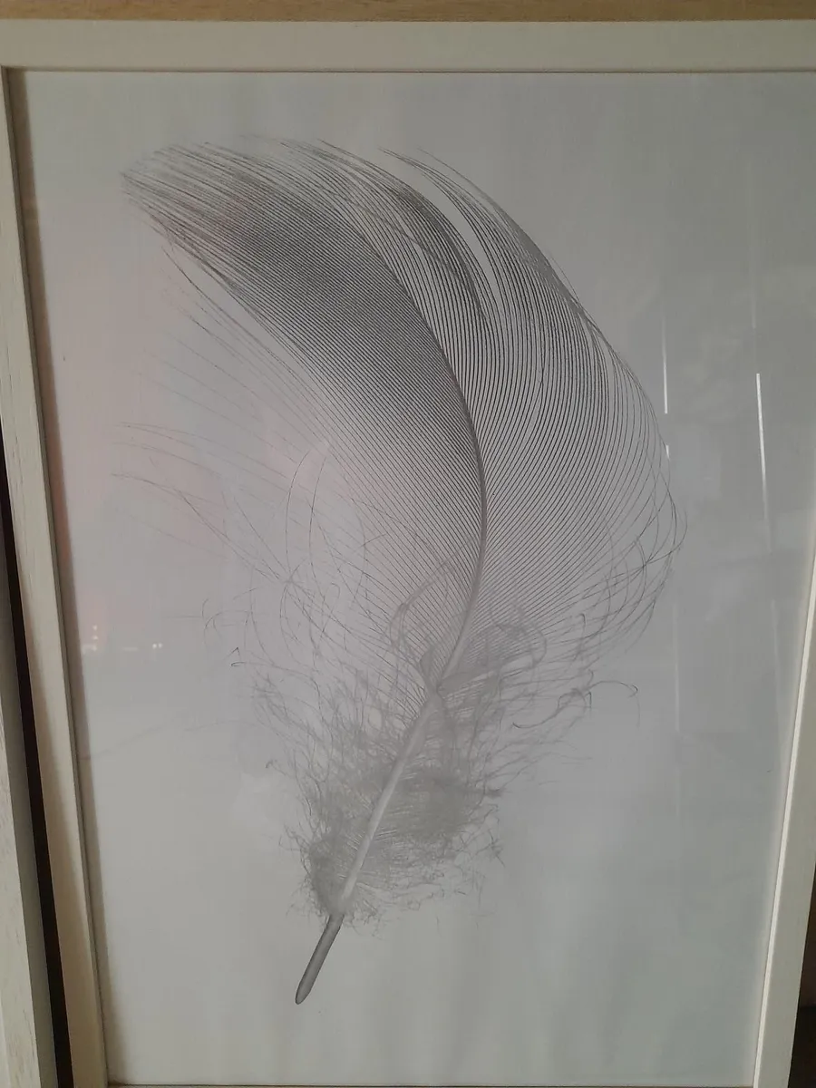 Framed prints - Image 1