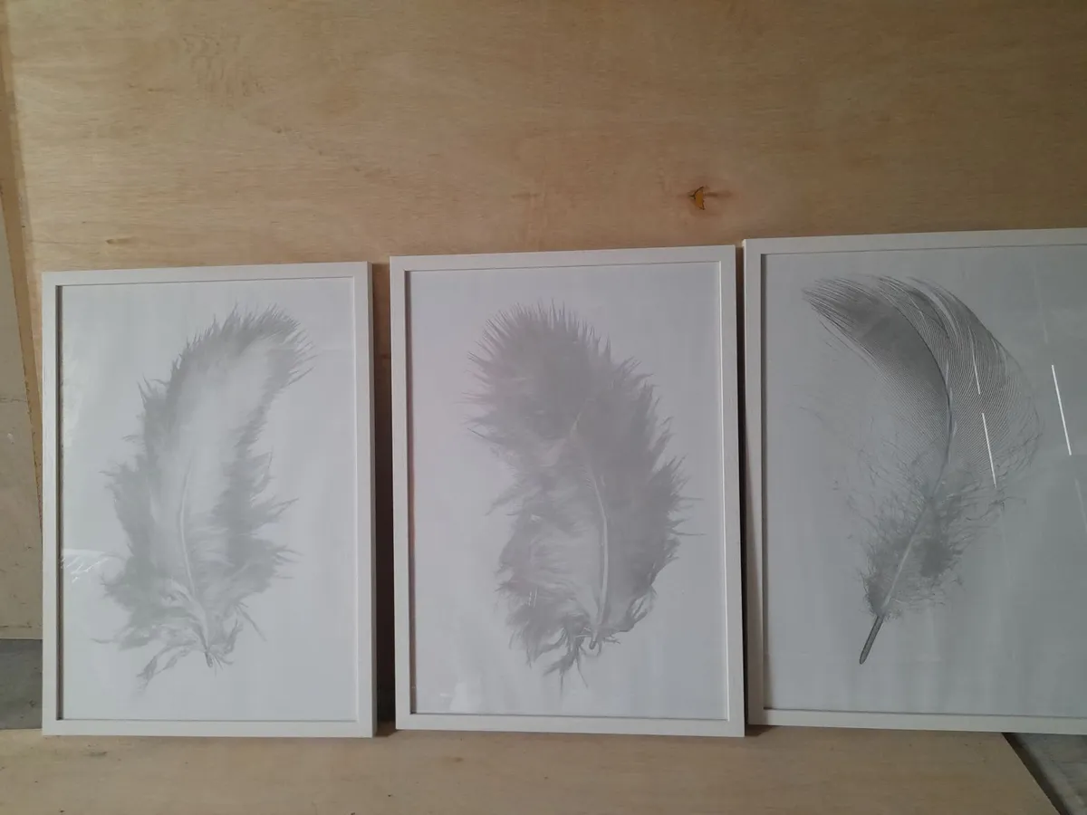 Framed prints - Image 2