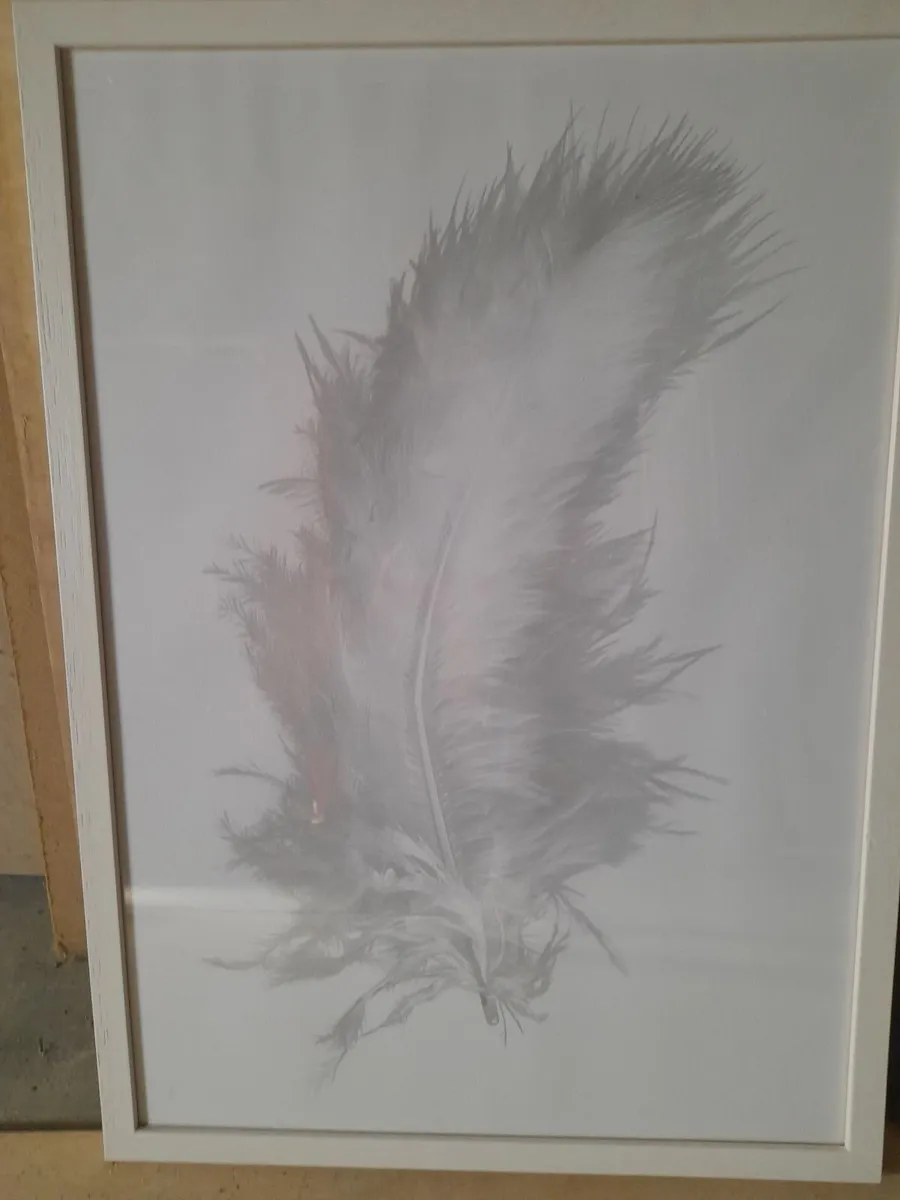 Framed prints - Image 4