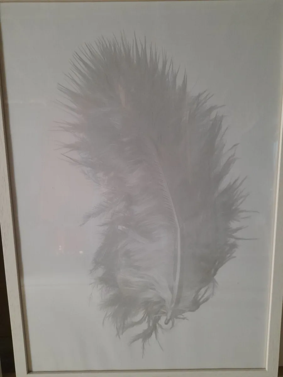 Framed prints - Image 3