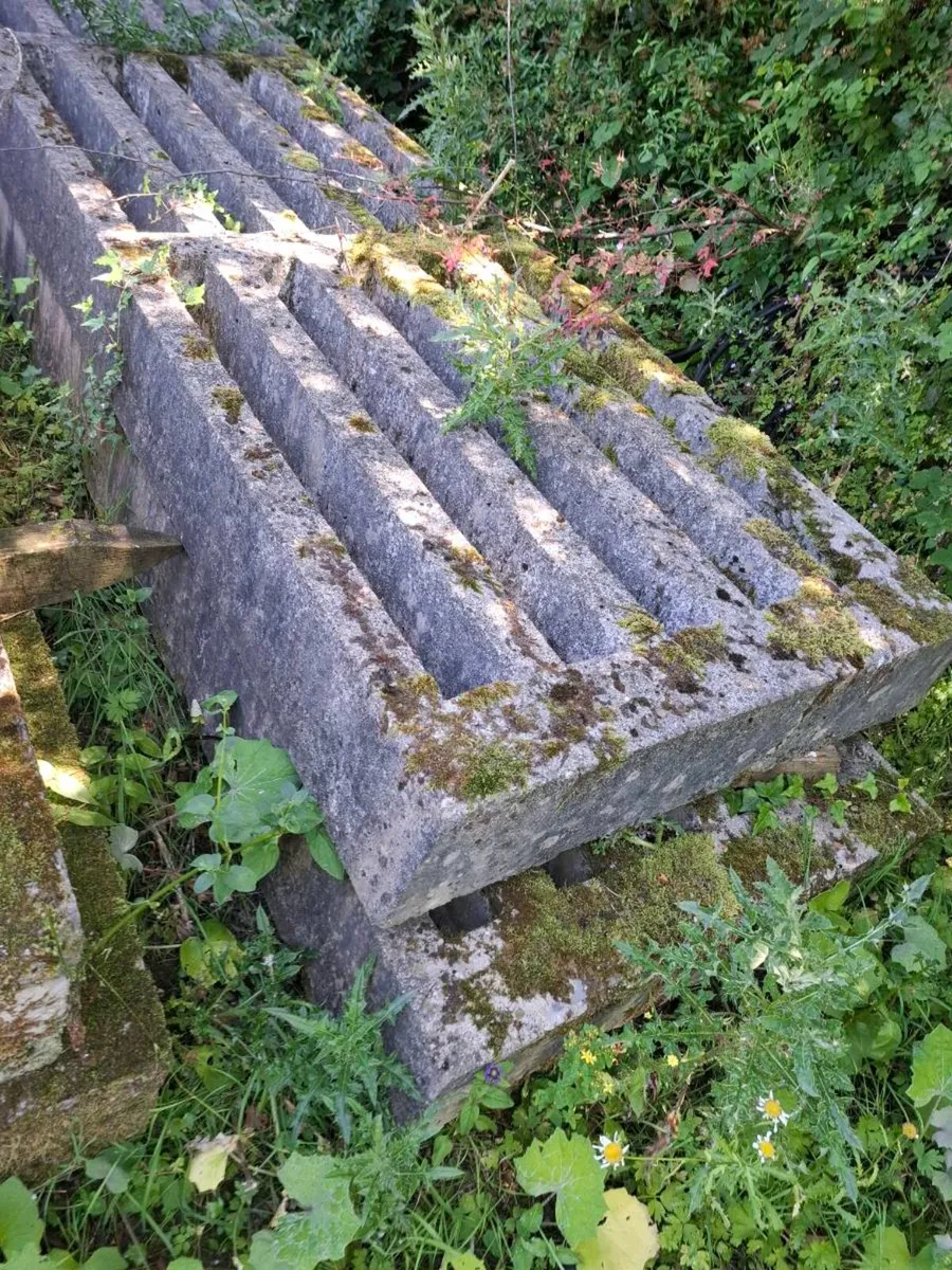 Slats 4 - Image 4