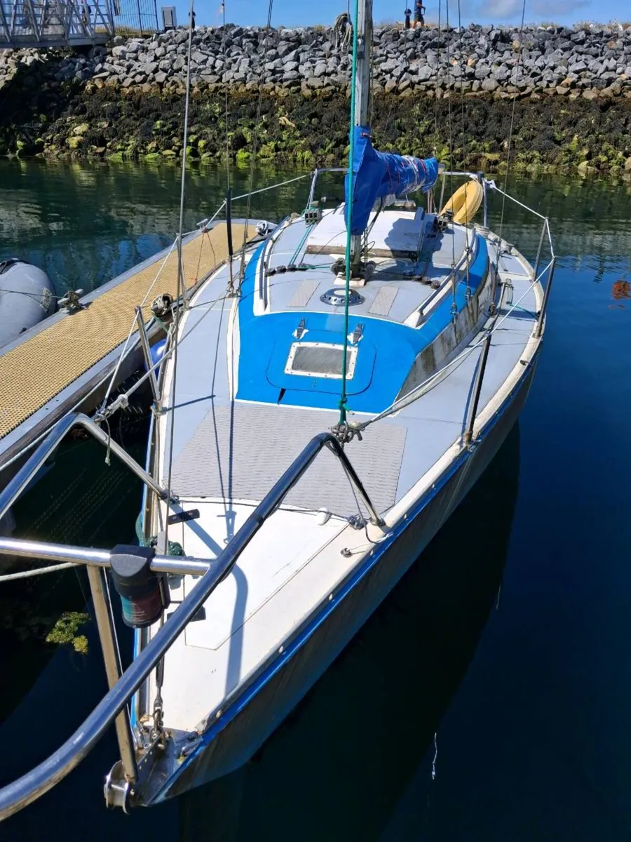 22 Sail Boat, Dingle Mooring (31/3/2027) & Trailer - Image 3