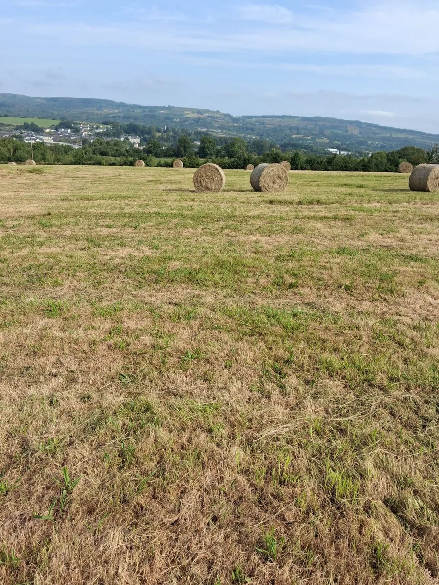 Round and square hay bales - Image 4