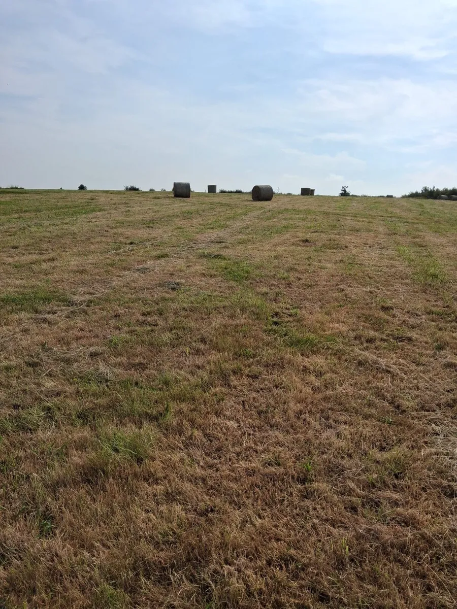 Round and square hay bales - Image 3