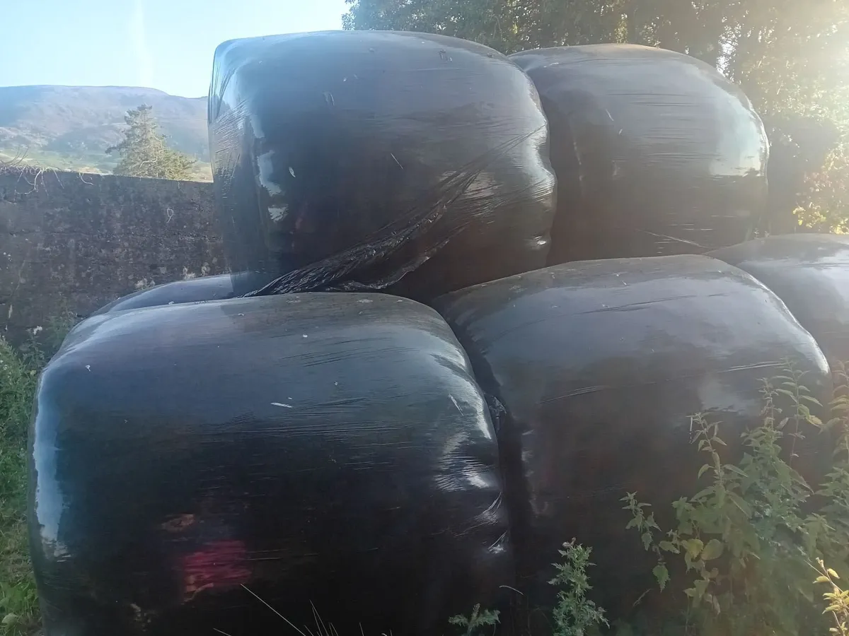 Hayledge - Image 2