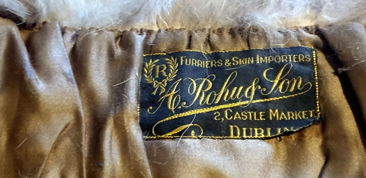 Vintage Taxidermy Stole – A. Rohu & Son Dublin - Image 2