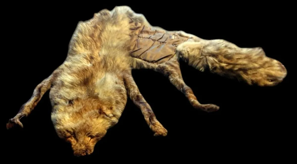 Vintage Taxidermy Stole – A. Rohu & Son Dublin - Image 1