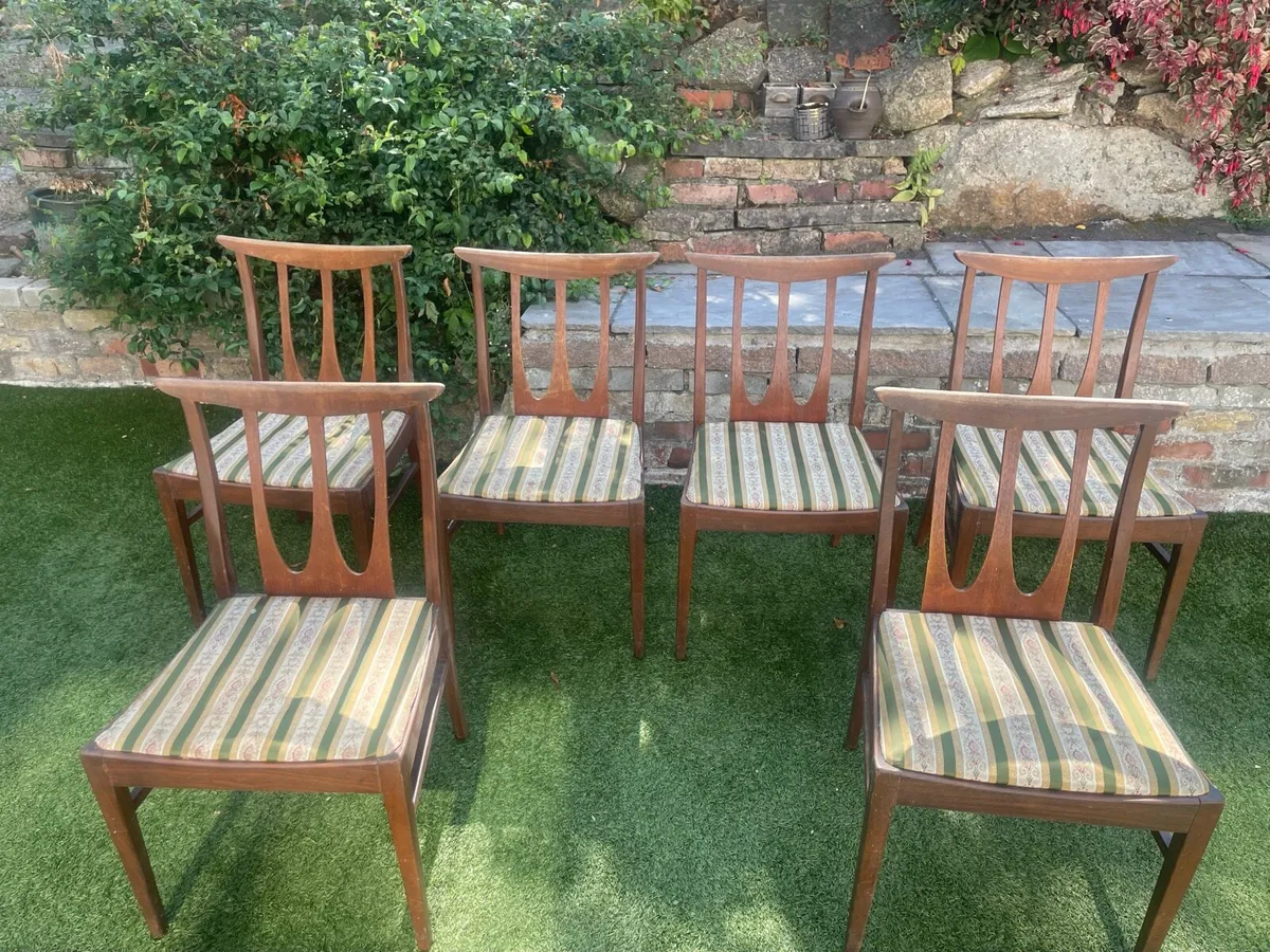 6 G plan dining chairs - Image 1