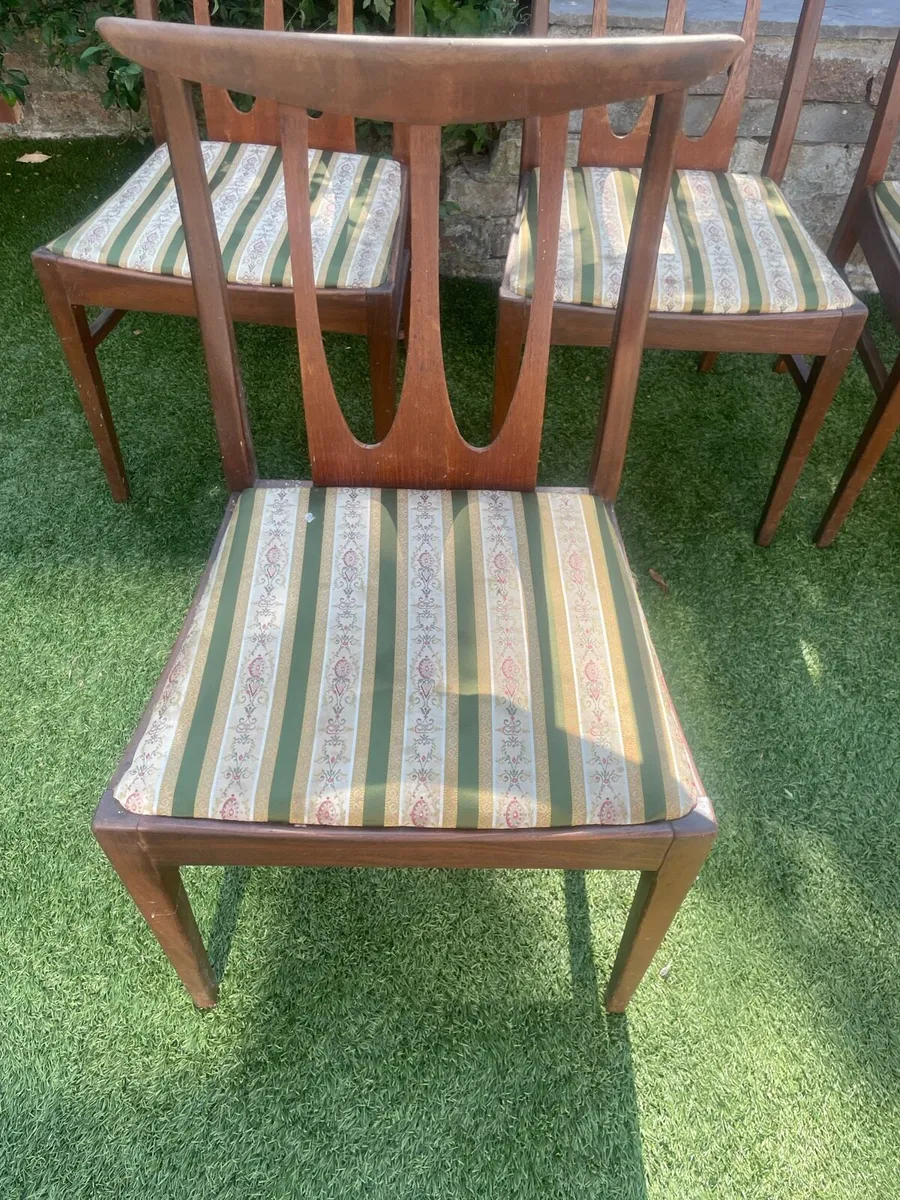 6 G plan dining chairs - Image 2
