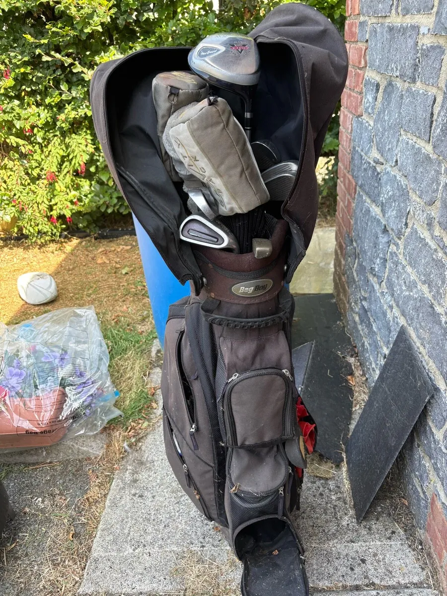 Ladies Gold clubs