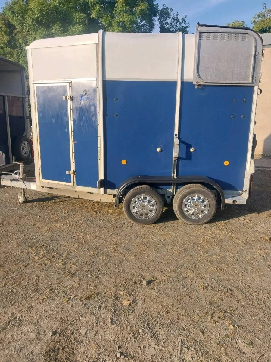 IVOR WILLIAMS 505 HORSEBOX - Image 1