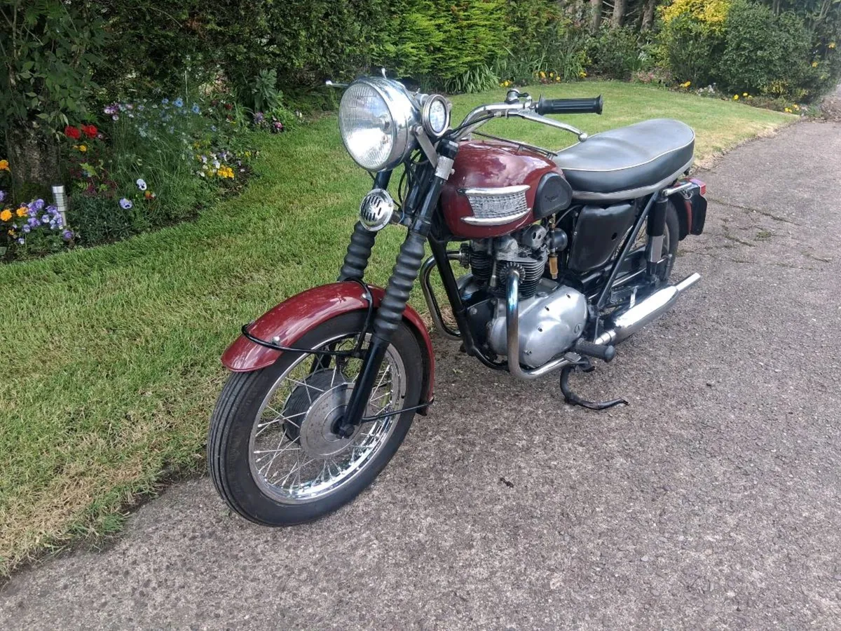 Triumph 3ta Original Irish ex Garda - Image 1