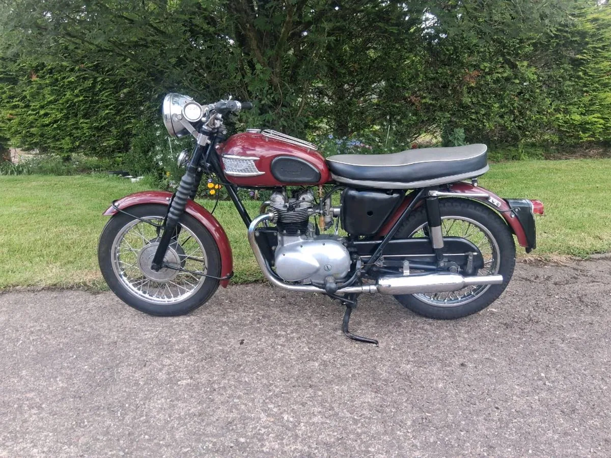 Triumph 3ta Original Irish ex Garda - Image 2