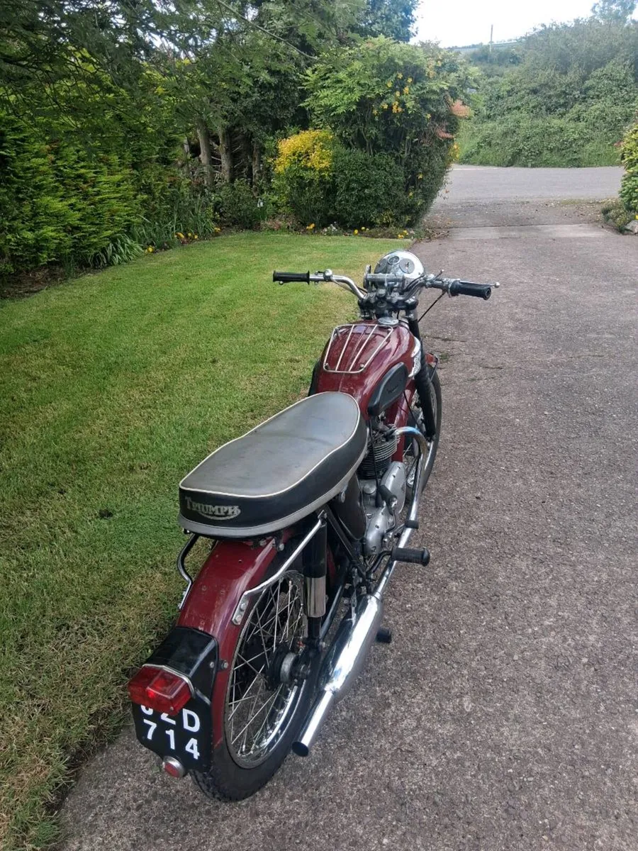 Triumph 3ta Original Irish ex Garda - Image 4