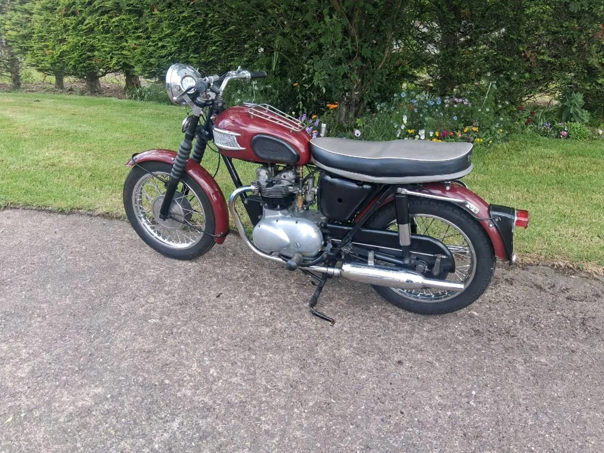 Triumph 3ta Original Irish ex Garda - Image 3