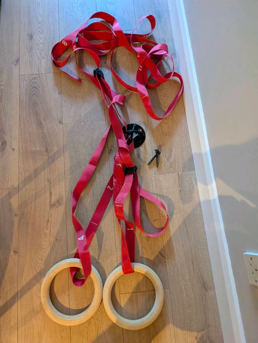 Gym hanging rings - Image 1