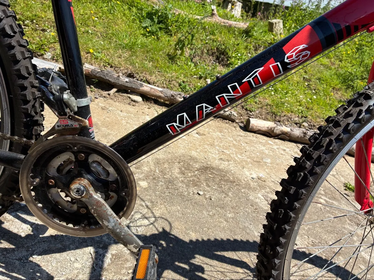 Pedal bikes - Image 1