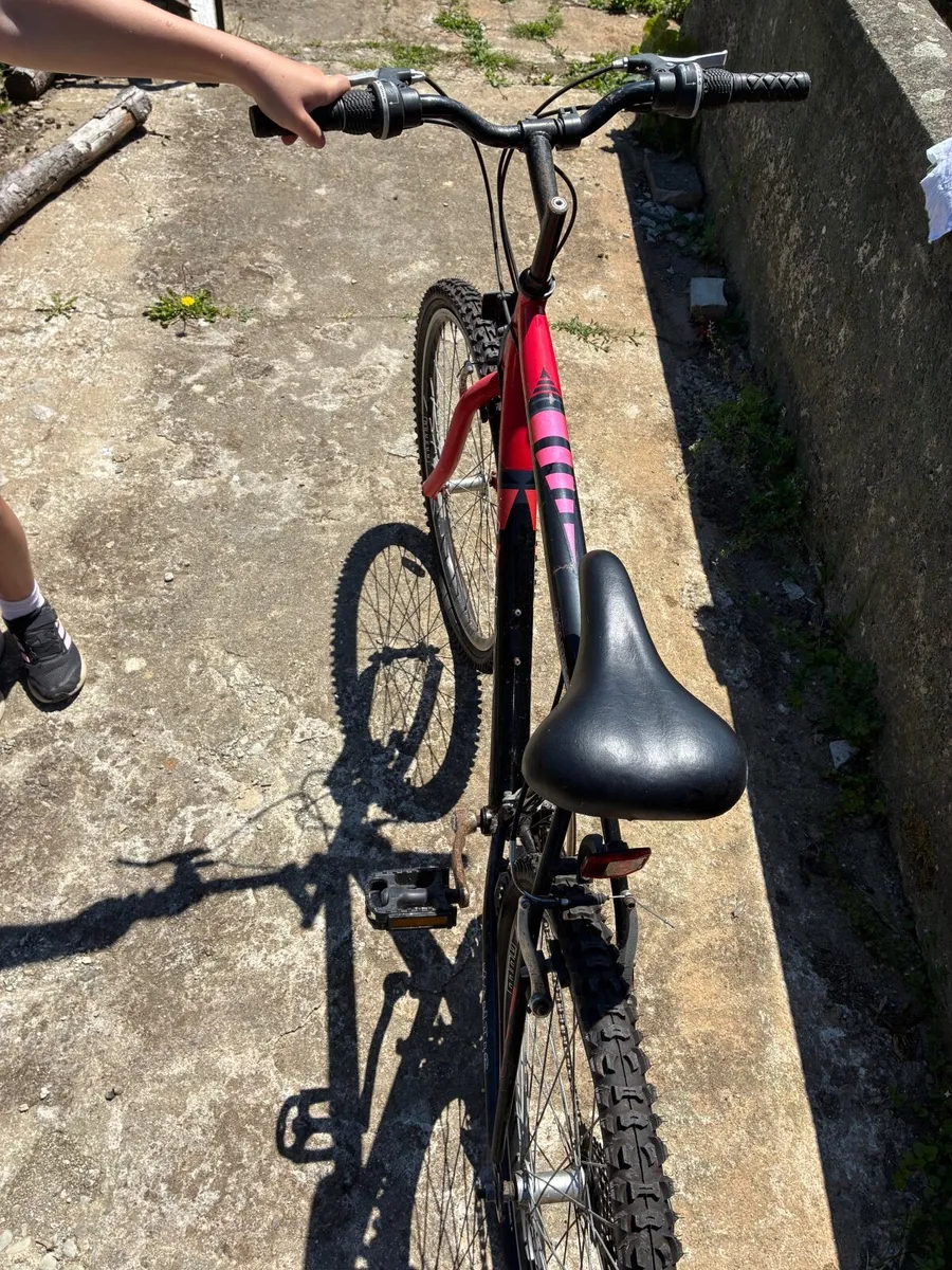 Pedal bikes - Image 2
