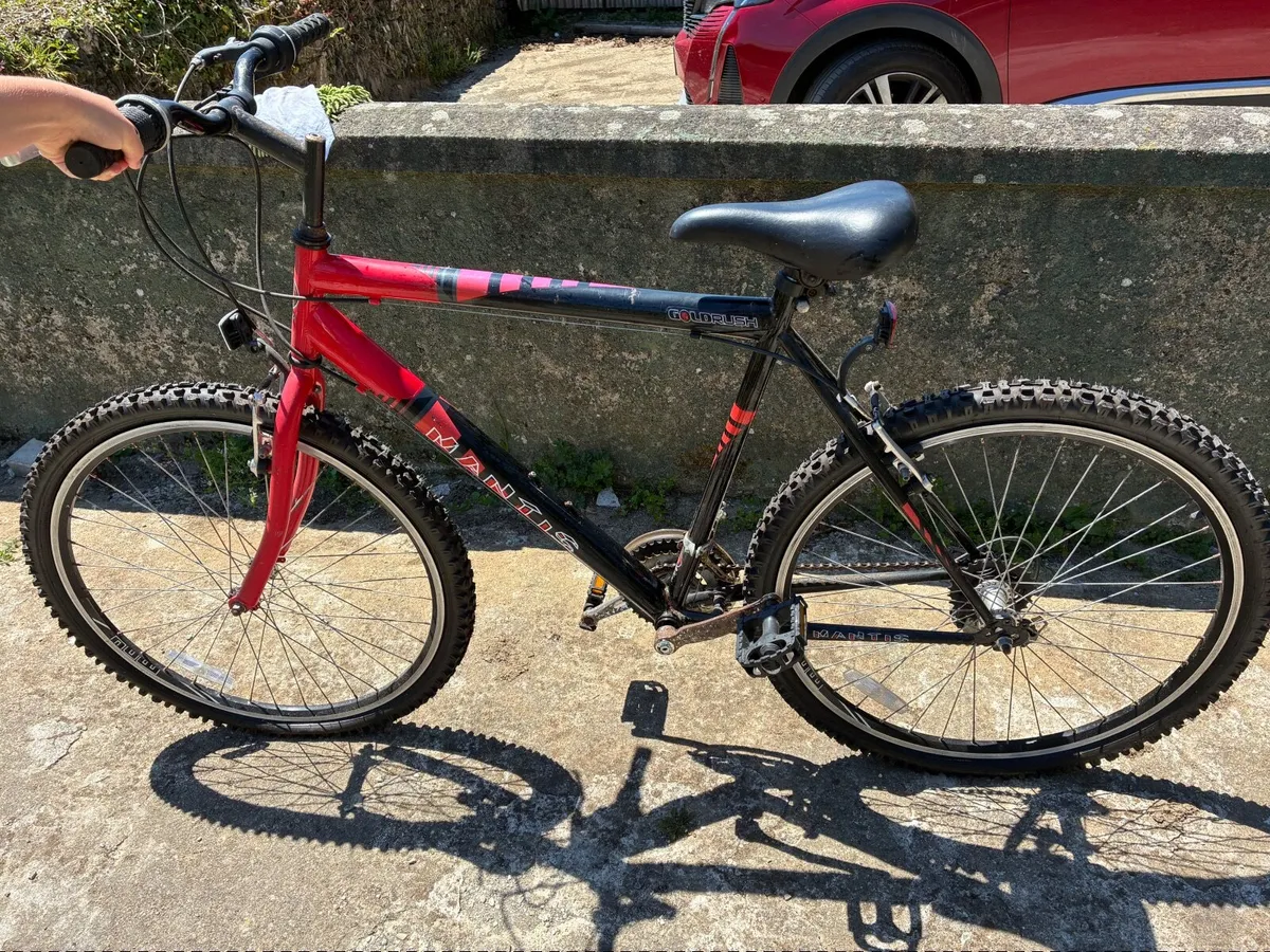 Pedal bikes - Image 3