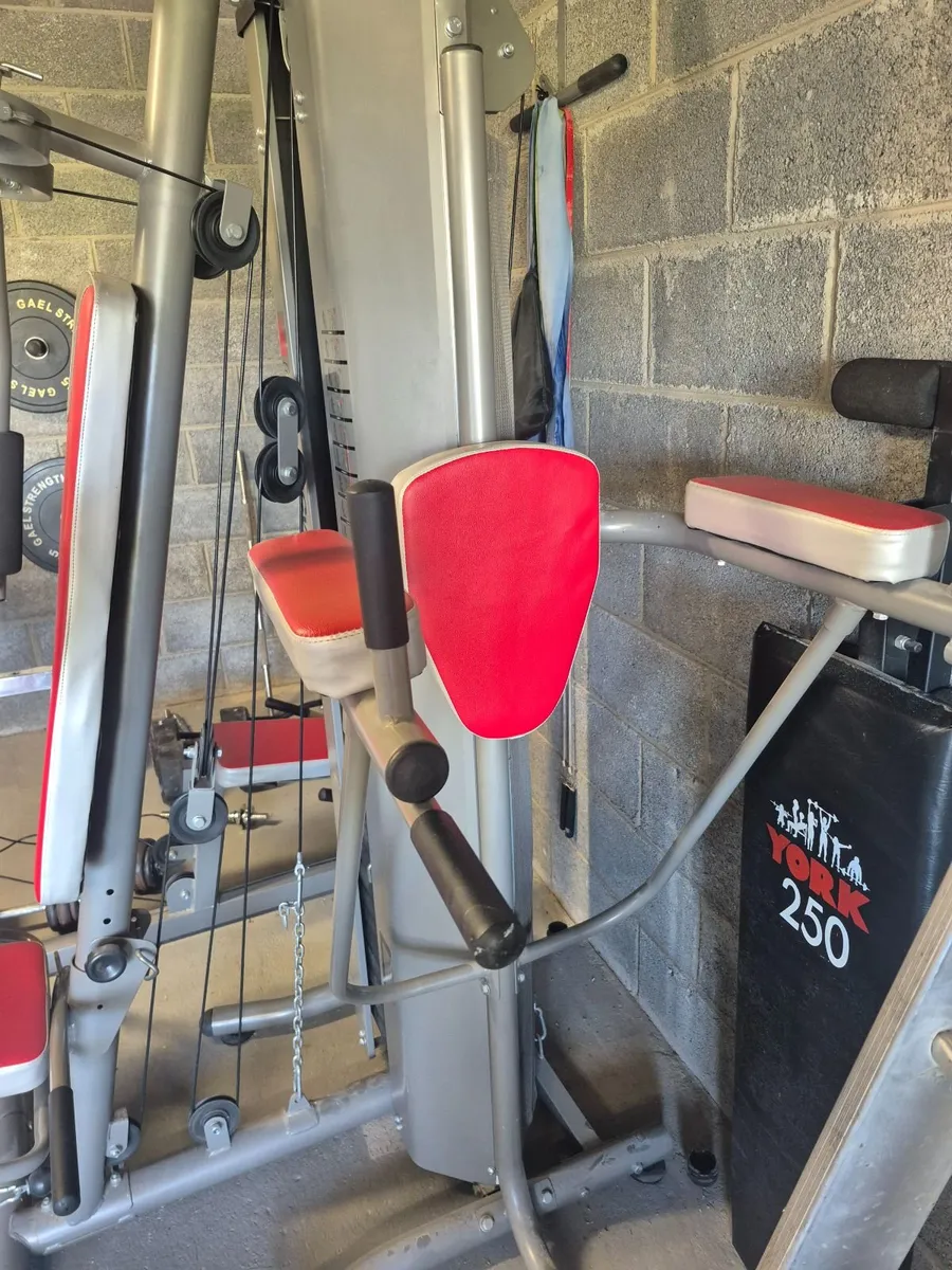 Multi gym - Image 4