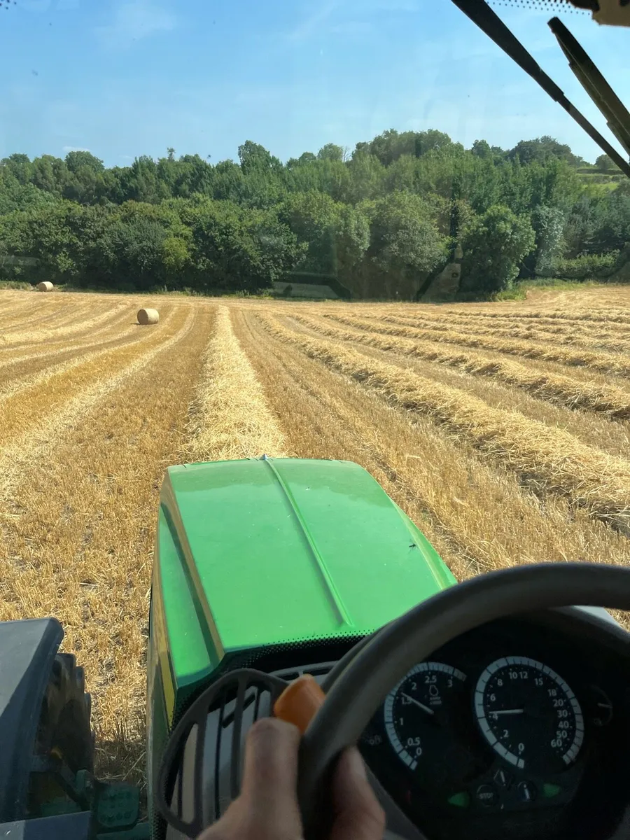 Golden round bales of barley straw - Image 3
