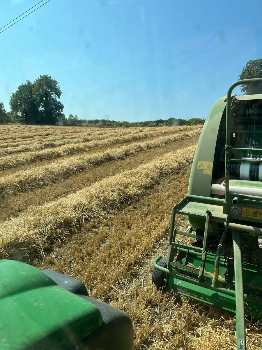 Golden round bales of barley straw - Image 4