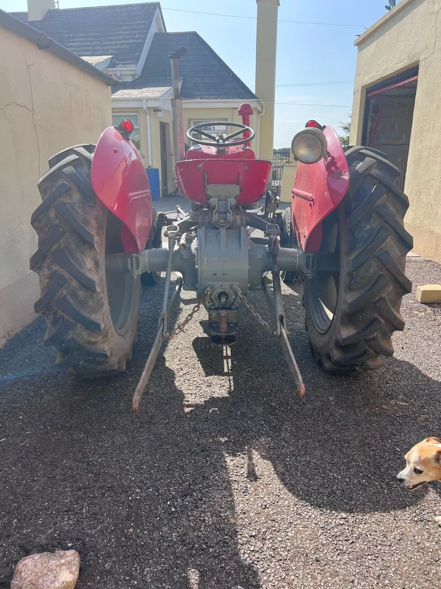 Massey Ferguson 35 - Excellent working condition - Image 4