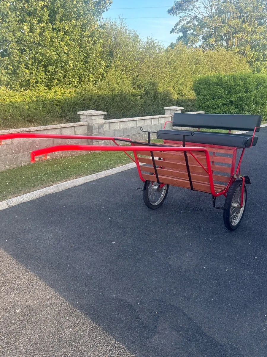 New Duhig Road cart - Image 2