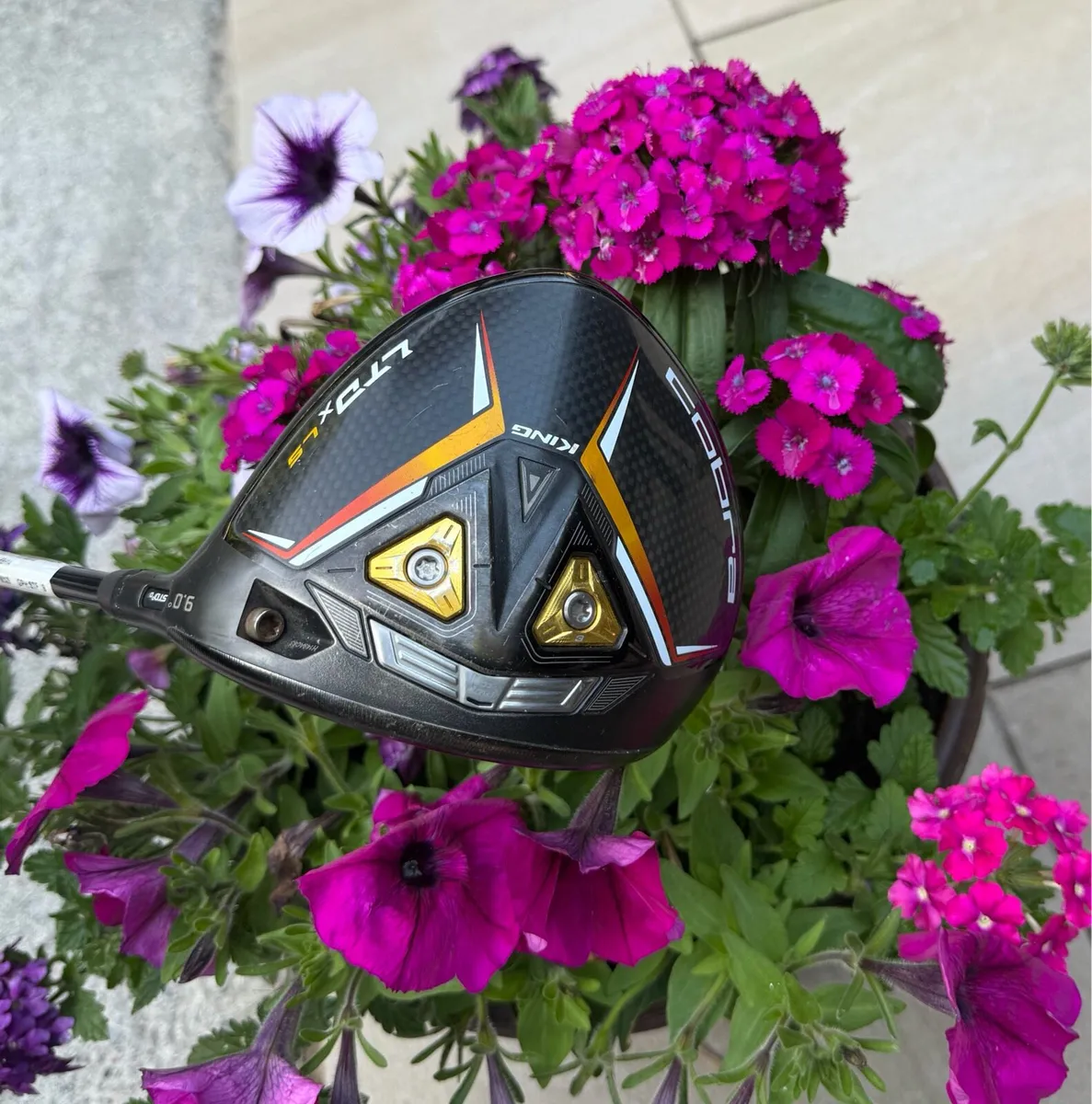 Cobra LTD x LS Driver - Image 1