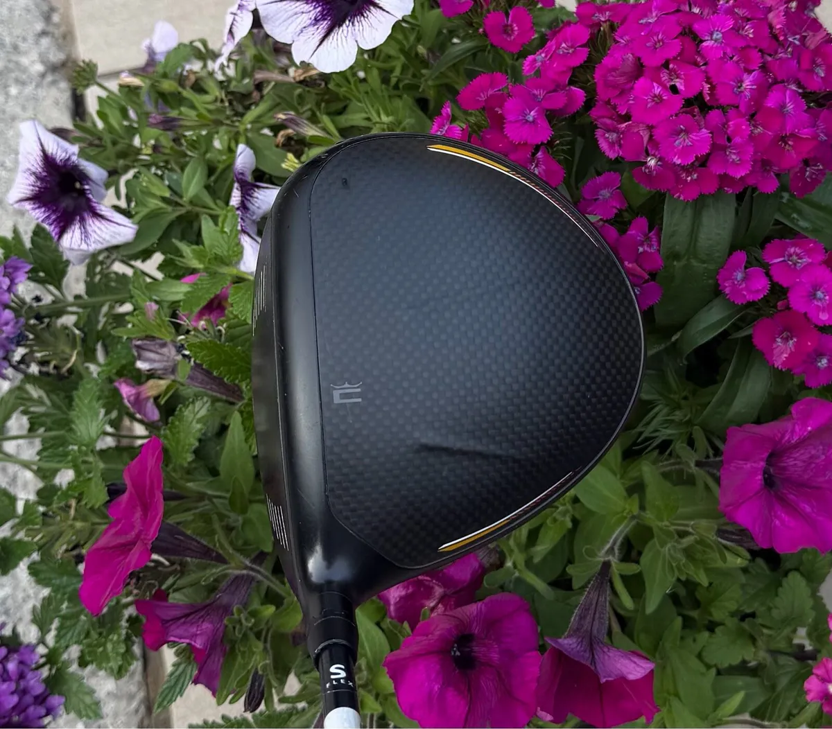 Cobra LTD x LS Driver - Image 2