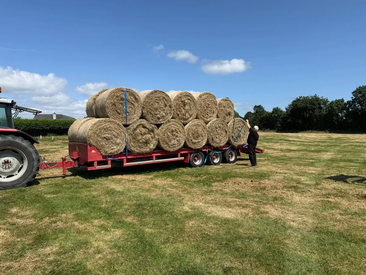 Low loader trailer - Image 4
