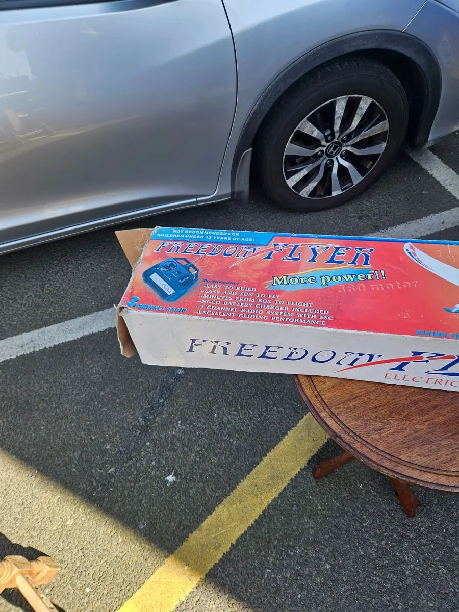 Model Aircraft RC Freedom Flyer - Image 3