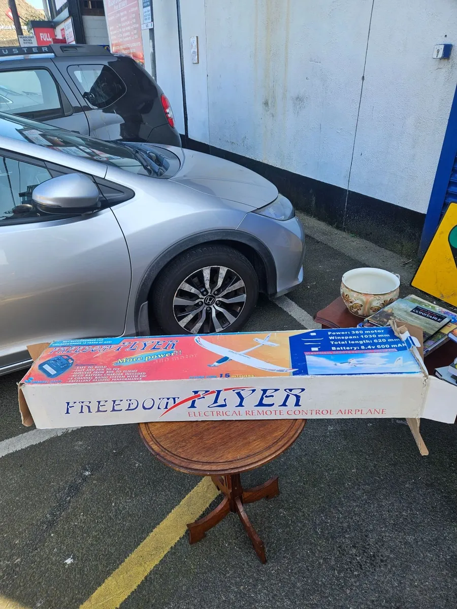 Model Aircraft RC Freedom Flyer - Image 1