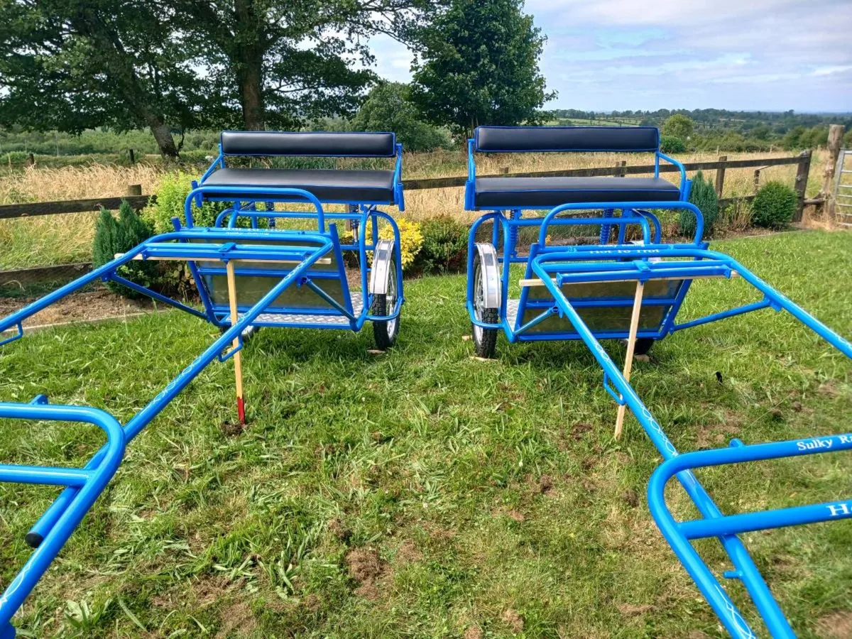 2 no. NEW Road Carts - Image 1