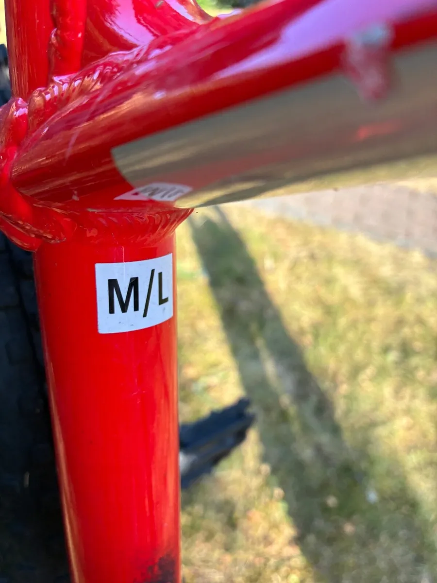 Mountain bike - Image 1