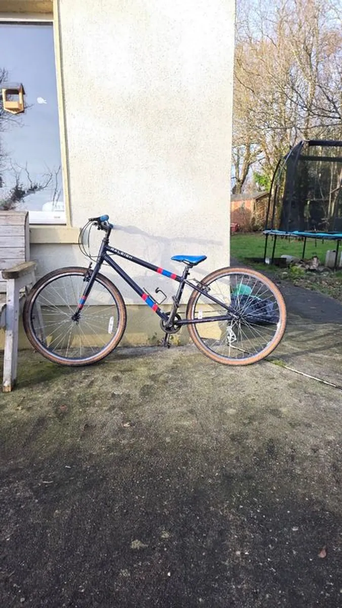 Raleigh  Pop   26"  Bike - Image 1