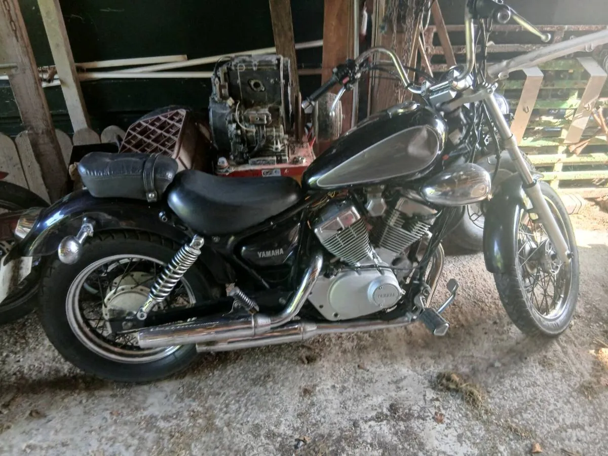 Shed clear out - Image 1