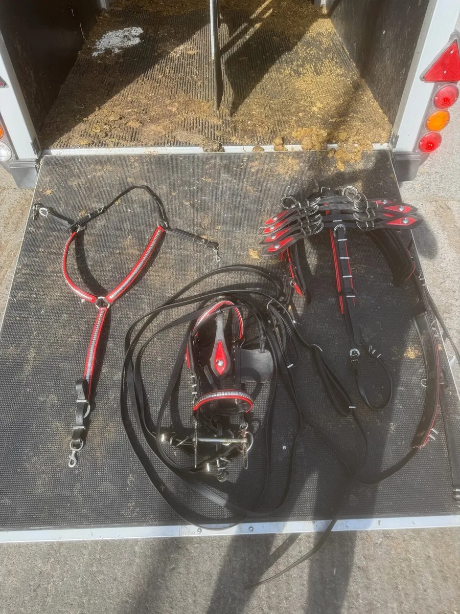 Quick hitch harnesses - Image 1